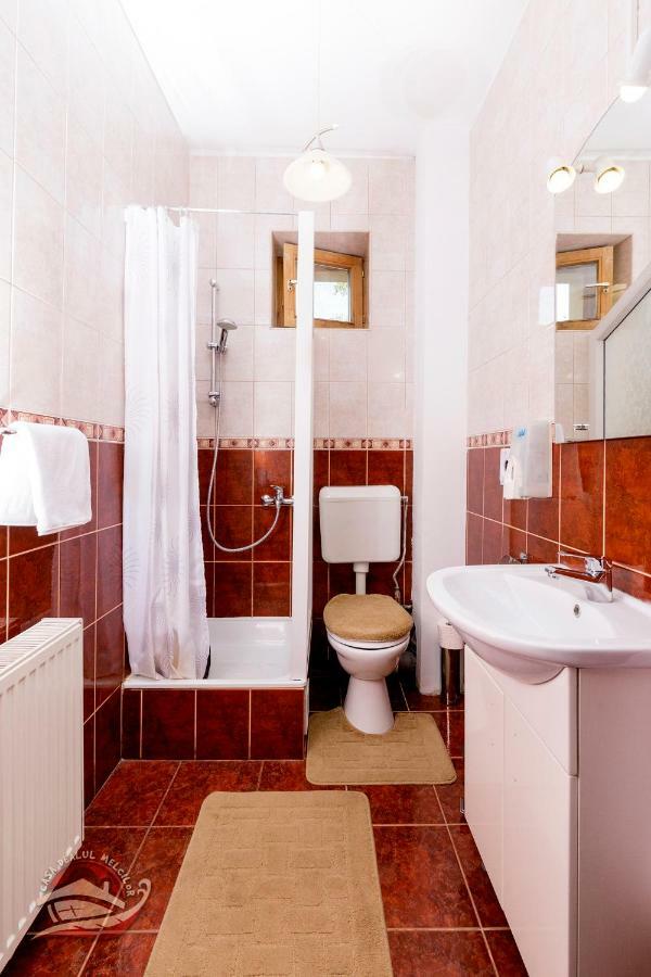 Hôtel Casa Dealul Melcilor à Braşov Extérieur photo