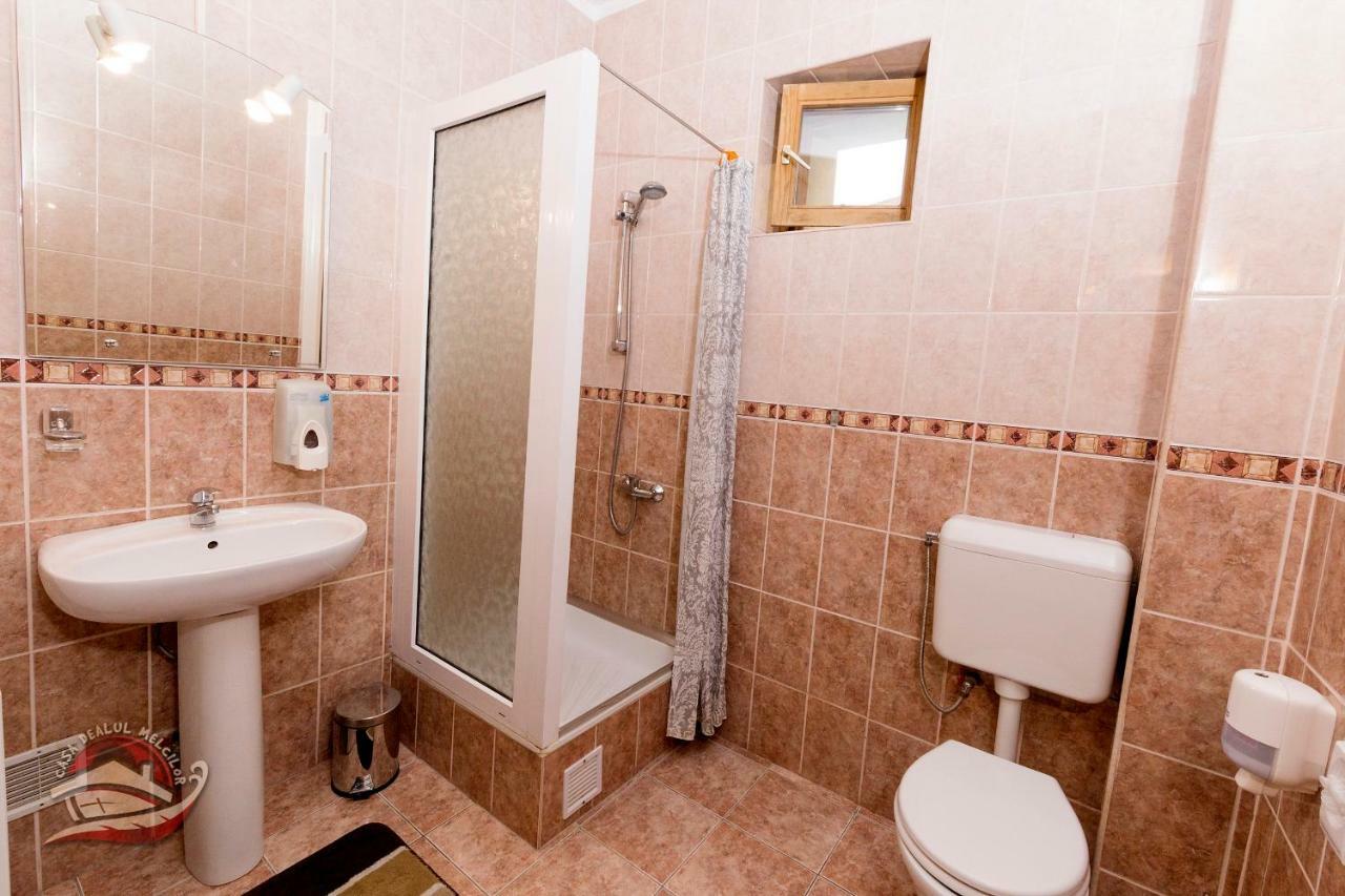Hôtel Casa Dealul Melcilor à Braşov Extérieur photo