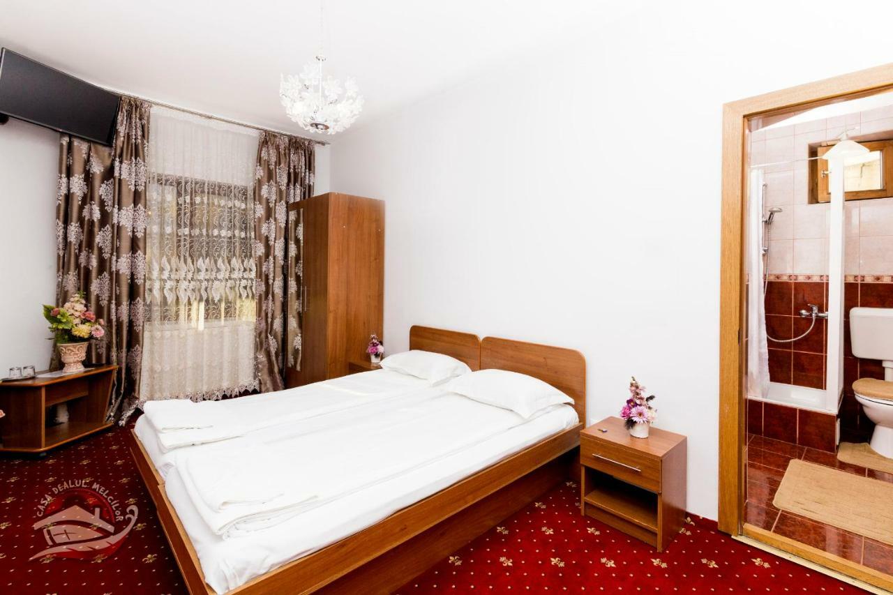 Hôtel Casa Dealul Melcilor à Braşov Extérieur photo